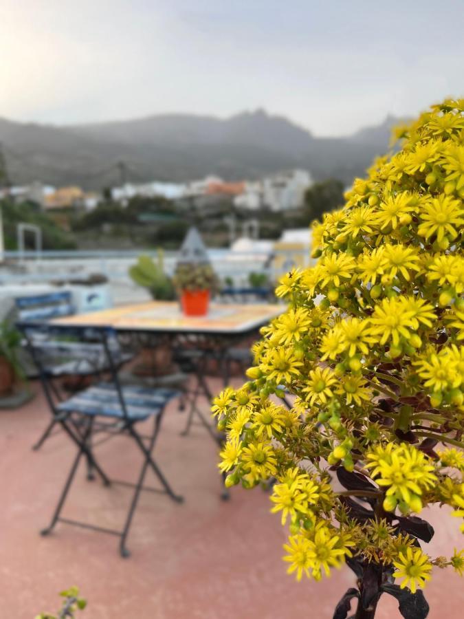 Casa Tesalia Villa Güimar Eksteriør bilde