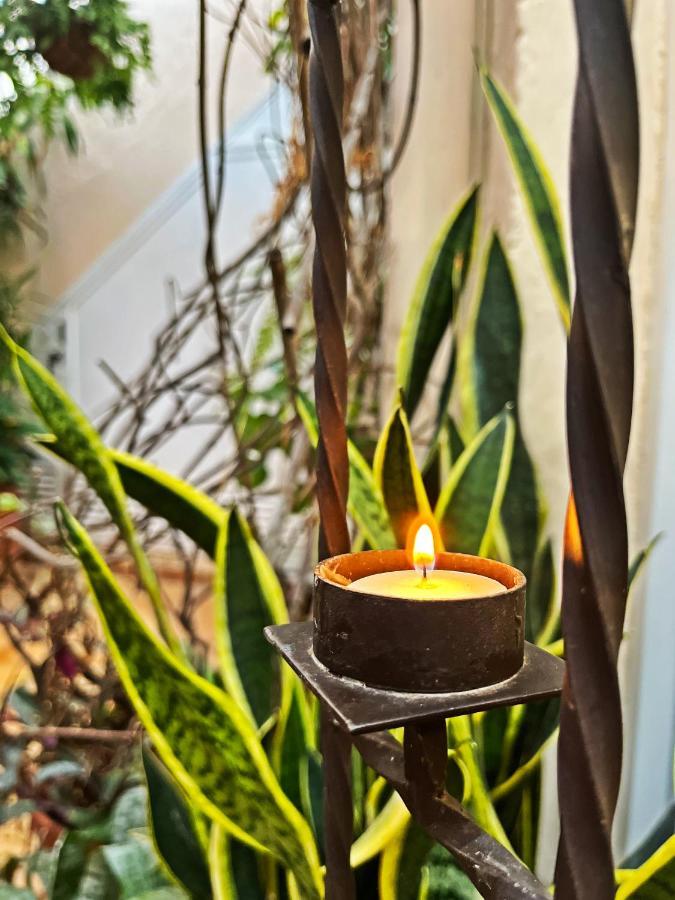 Casa Tesalia Villa Güimar Eksteriør bilde