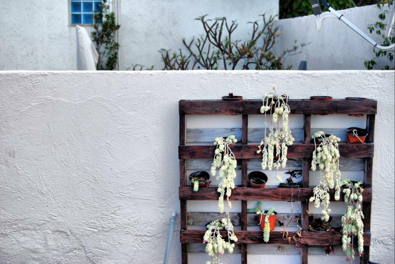 Casa Tesalia Villa Güimar Eksteriør bilde